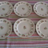 6 Johnson Brothers Windsor Ware plates