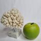 Ancient white coral on marble base