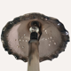 Midcentury ceramic enameled glazed mushroom table lamp