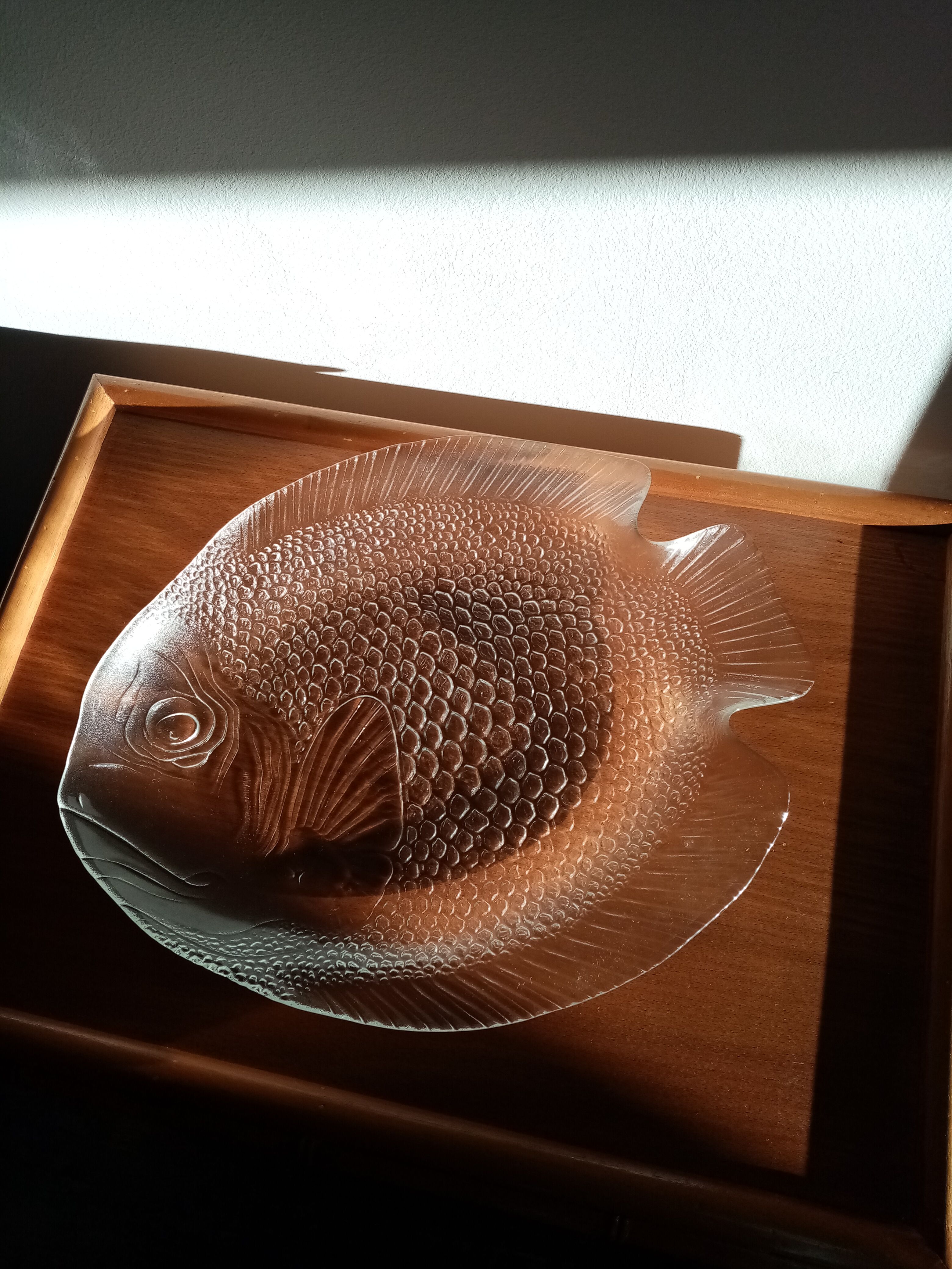 Arcoroc Fish Service