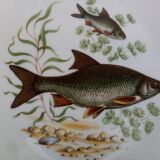 12 fish plates brand PMR Bavaria Jaeger & Co.