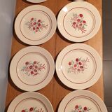 Suite of 8 flat plates "Badonvillers"