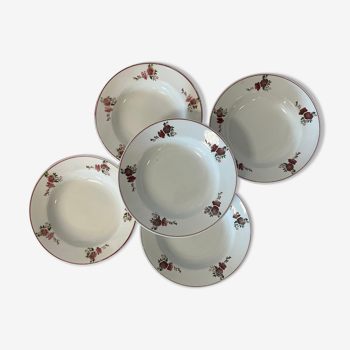 Set of 5 hollow plates "Minerve" from the French manufacture Fenal Frères