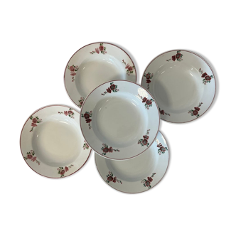 Set of 5 hollow plates "Minerve" from the French manufacture Fenal Frères