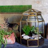 Indoor greenhouse-terrarium in brass