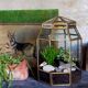 Indoor greenhouse-terrarium in brass