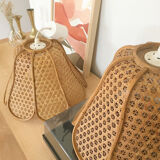 Lot of two rattan flower suspensions