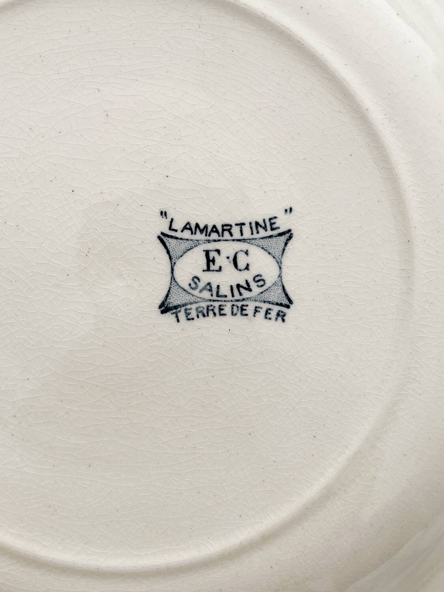 10 assiettes plates en terre de fer « Lamartine » Salins
