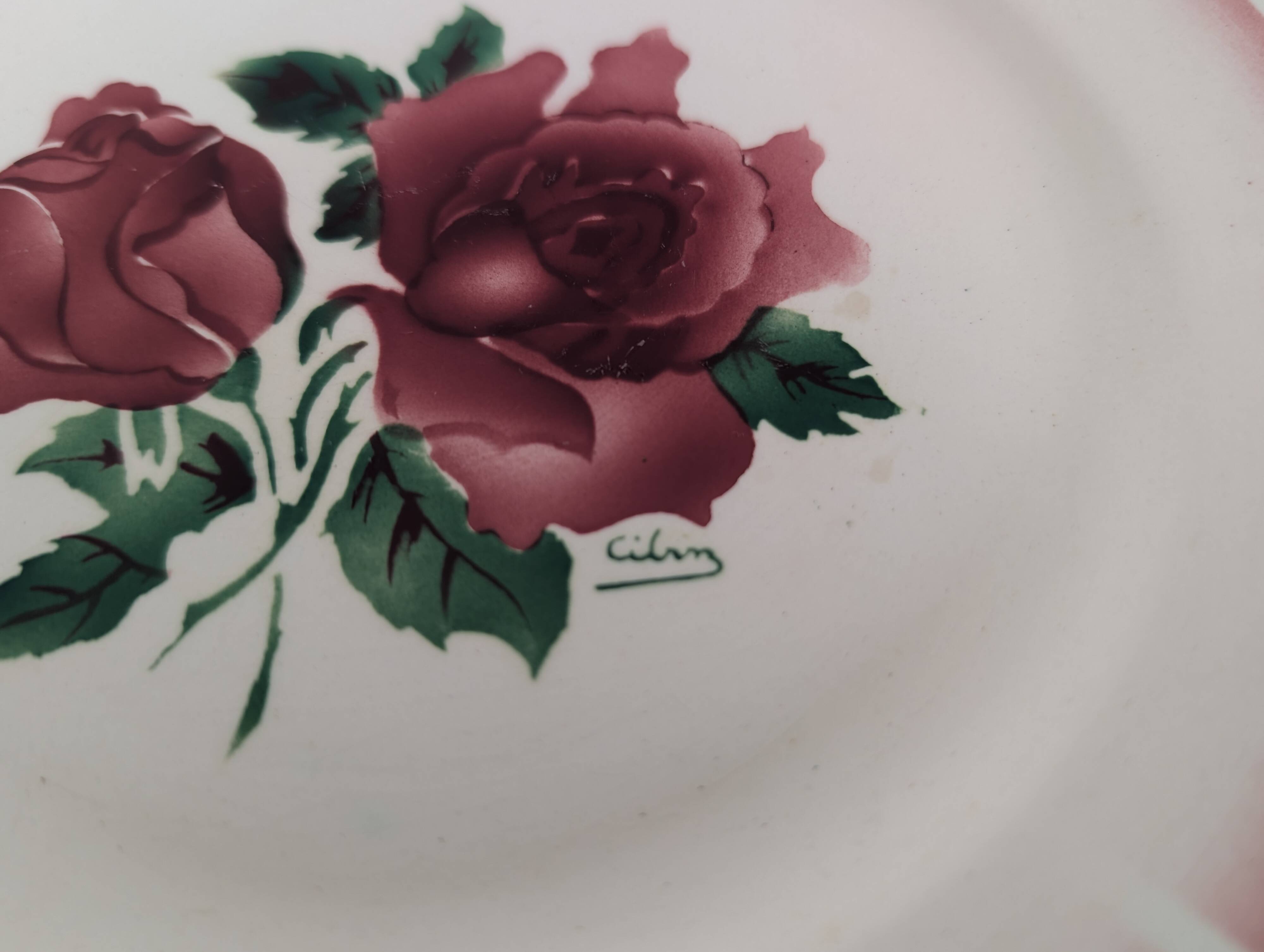 5 Digoin Sarreguemines dinner plates