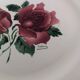 5 Digoin Sarreguemines dinner plates