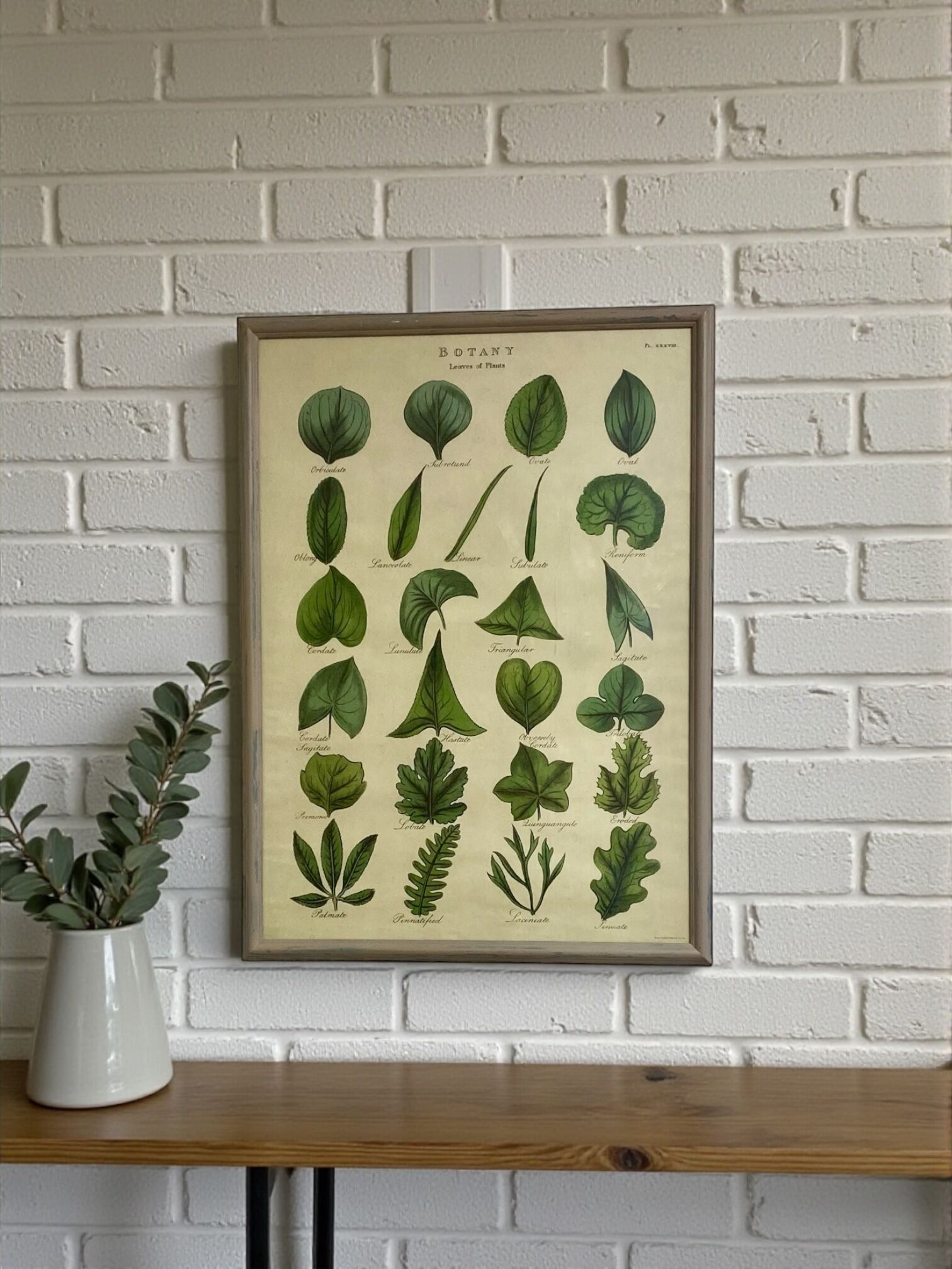 Large shabby chic botanical frame – Vintage poster leaves
