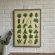 Large shabby chic botanical frame – Vintage poster leaves