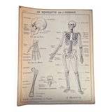Old school map Anatomy