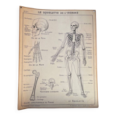 Old school map Anatomy