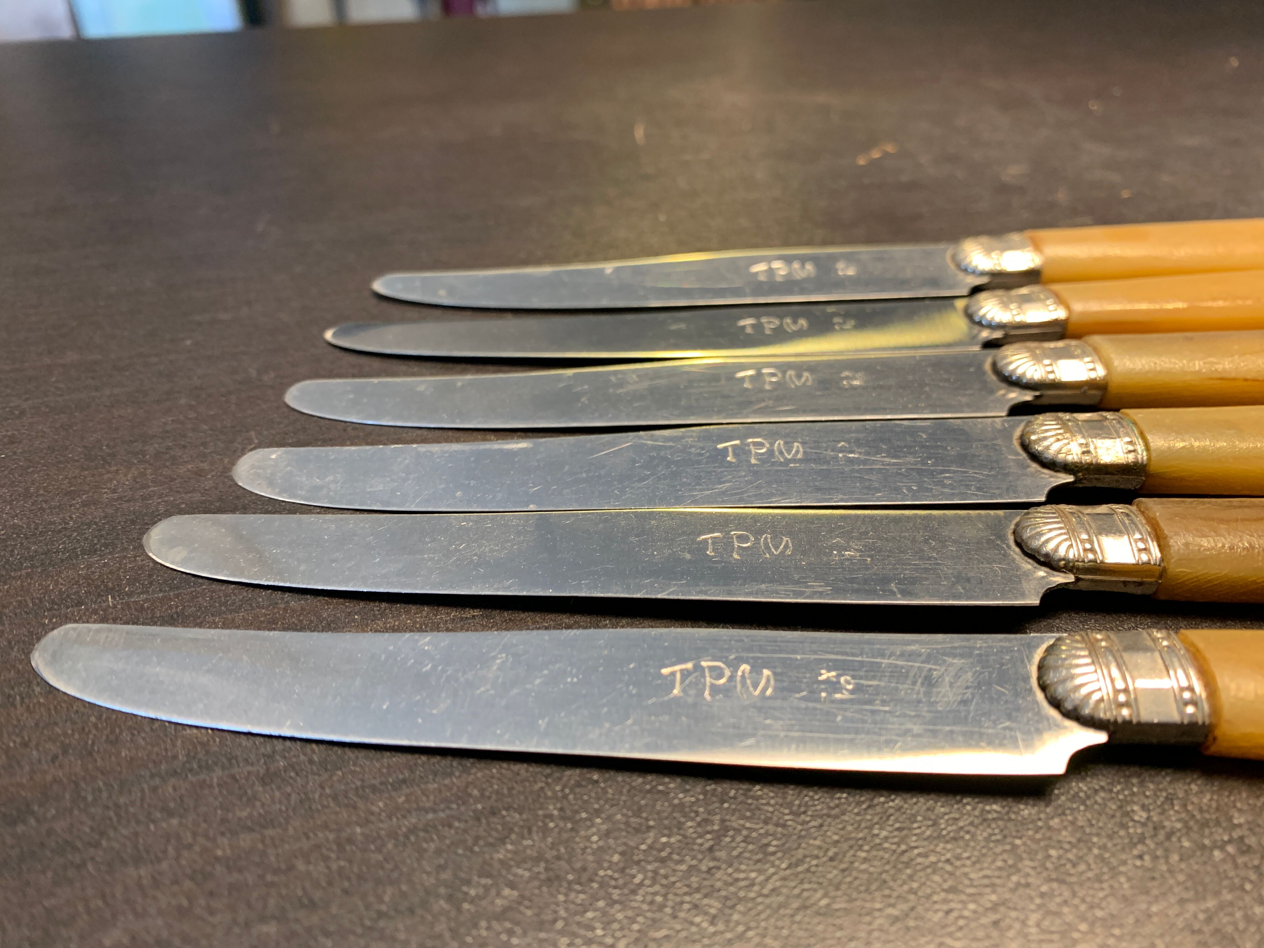Series of 6 stainless steel knives
