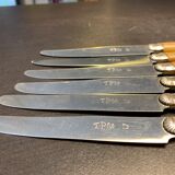 Series of 6 stainless steel knives