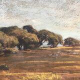 Painting pastel "landscape" by Joseph Victor Communal (1876-1962)