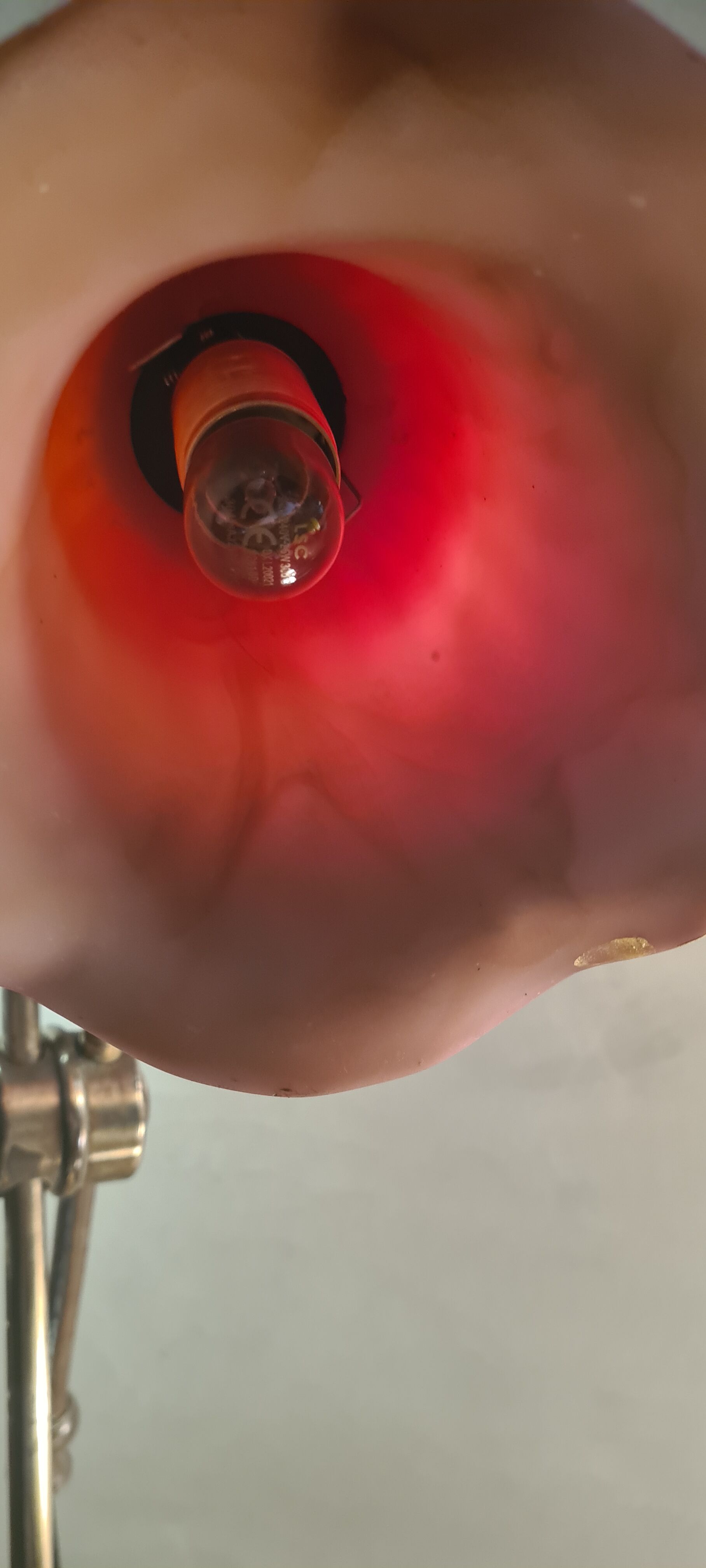 lamp1900 brass base cast iron very heavy, tulip red painted and gold