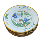 6 dessert plates Ara Pier Import