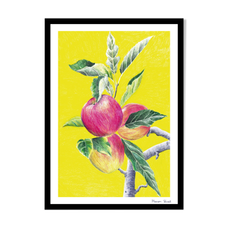 Dessin Pommes au crayon de couleur