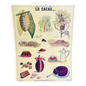 Affiche scolaire vintage