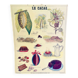 Vintage school poster cocoa – Émile Deyrolle Paris 1970s