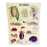 Vintage school poster cocoa – Émile Deyrolle Paris 1970s