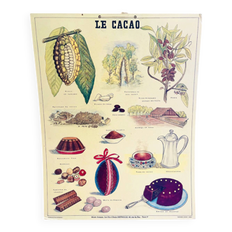 Vintage school poster cocoa – Émile Deyrolle Paris 1970s
