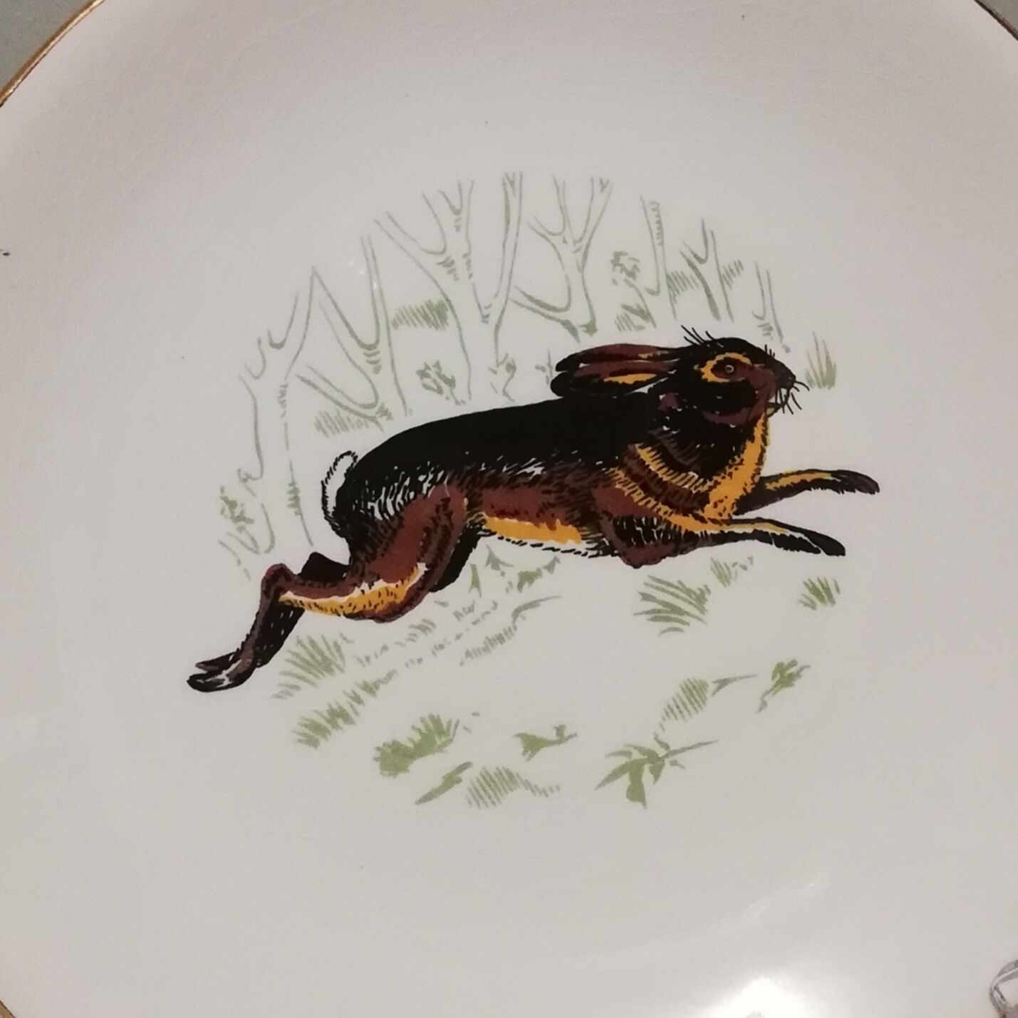 6 assiettes plates Gien Marly "animaux des forêts"