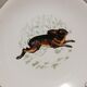 6 assiettes plates Gien Marly "animaux des forêts"