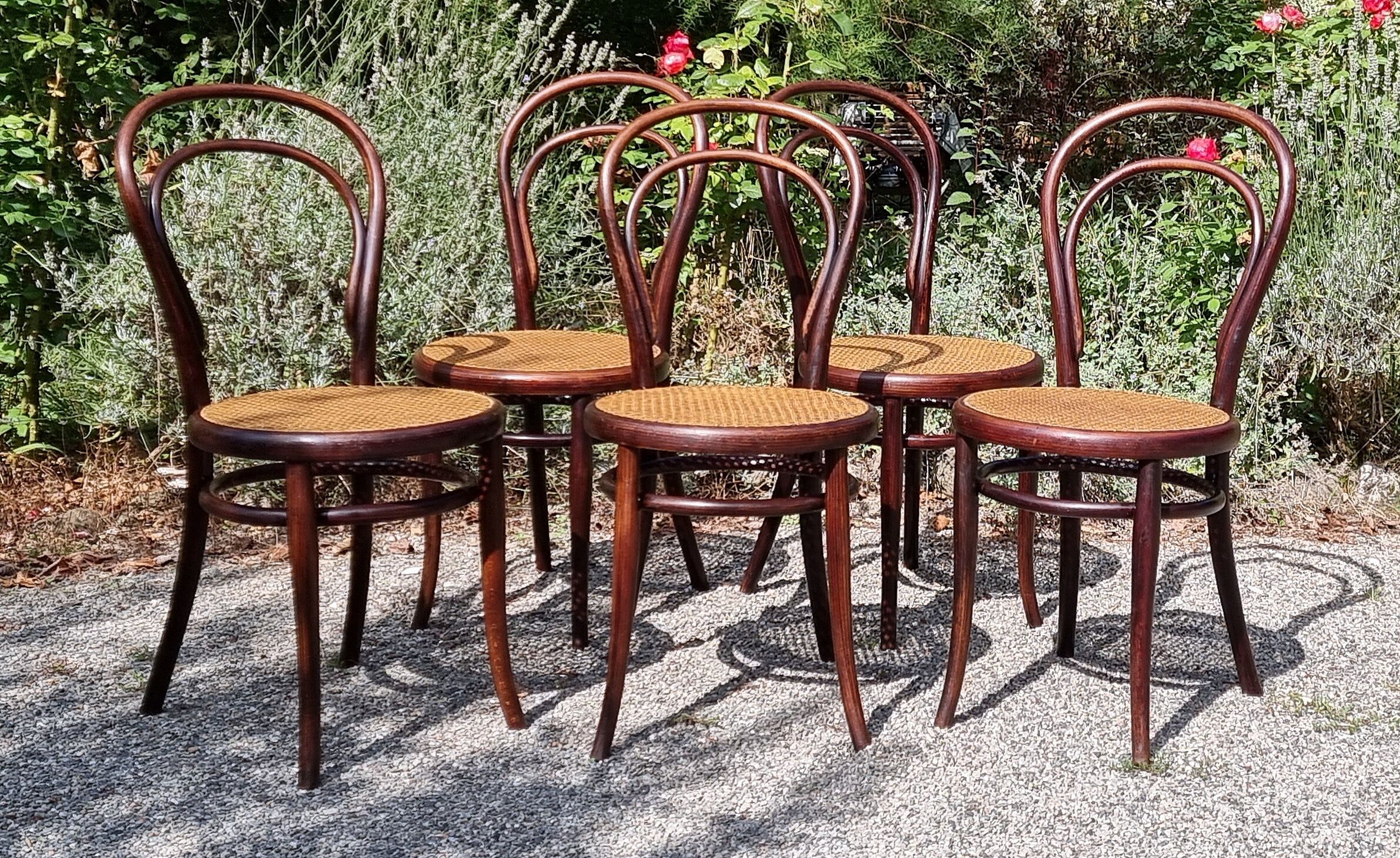 5 chaises Thonet n°14 de 1875