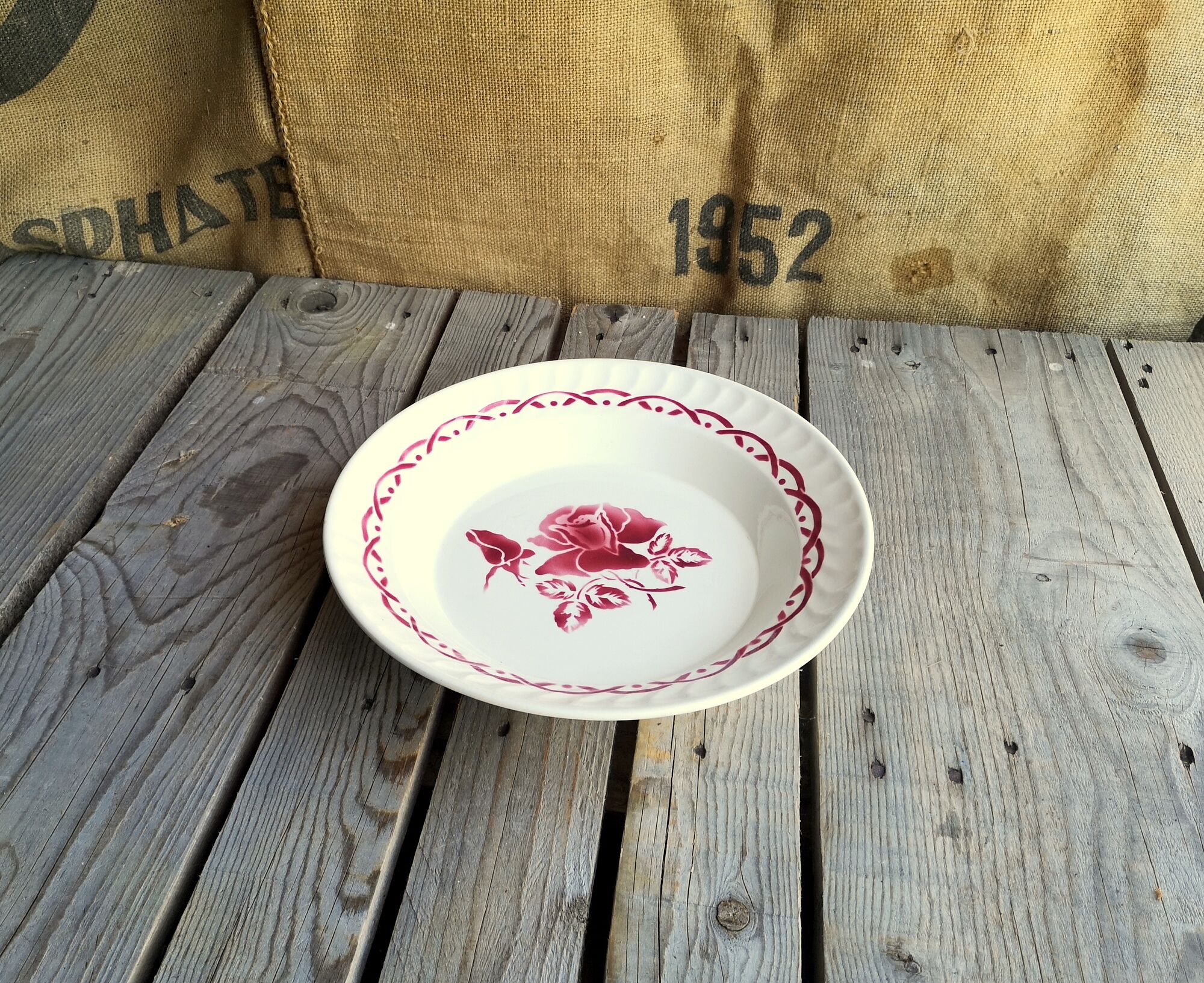 Digoin Sarreguemines plate