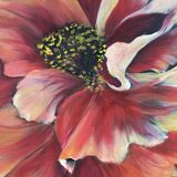 Pink peony painting on black background