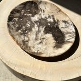 Very large empty pocket or petrified wooden flat