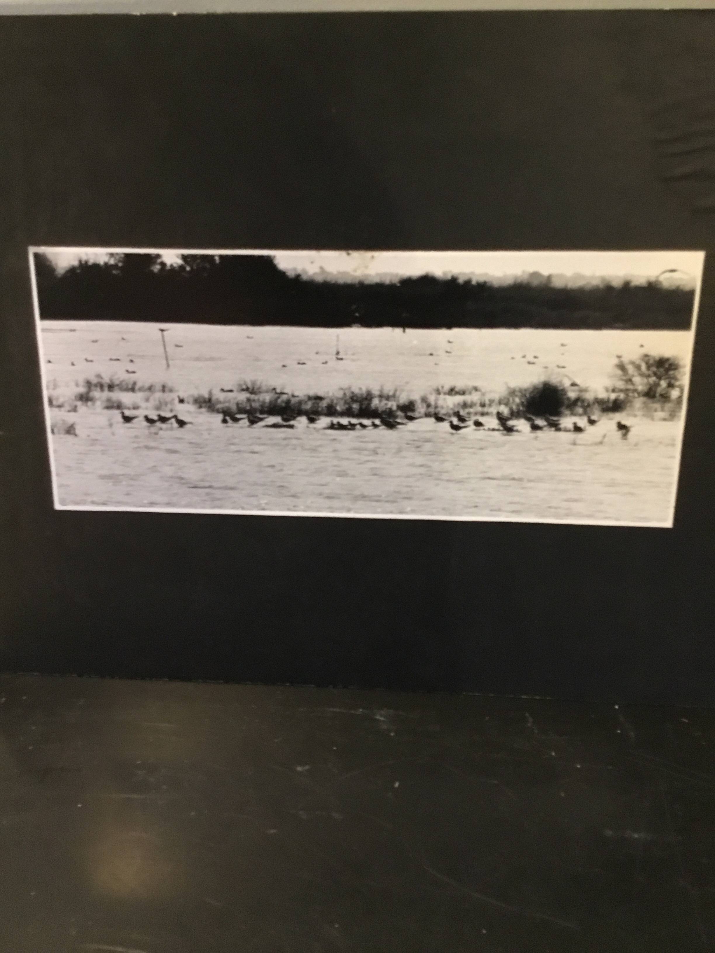 Tirage photo argentique noir et blanc paysage
