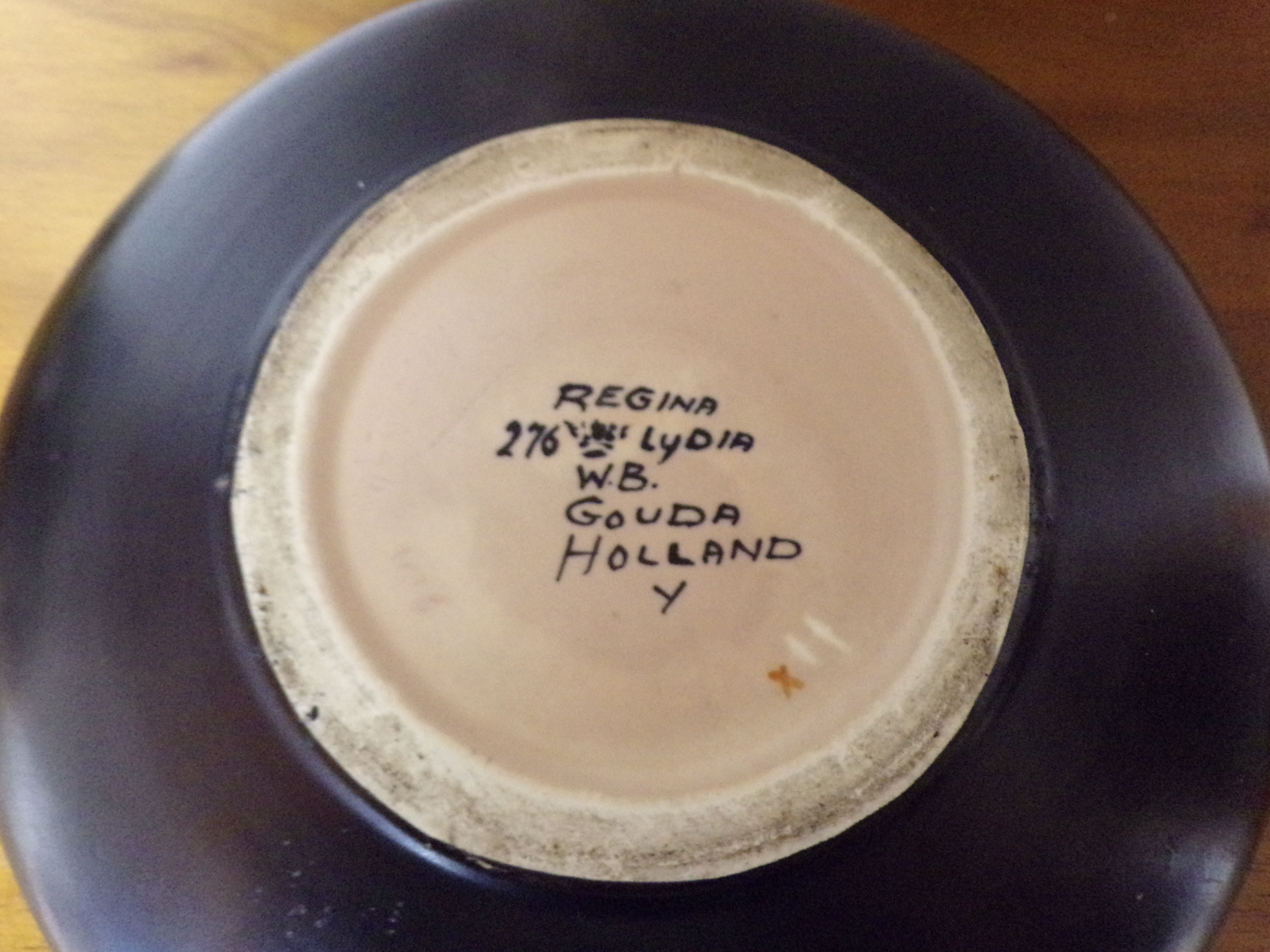 Dutch dish Regina W.b. Lydia Gouda