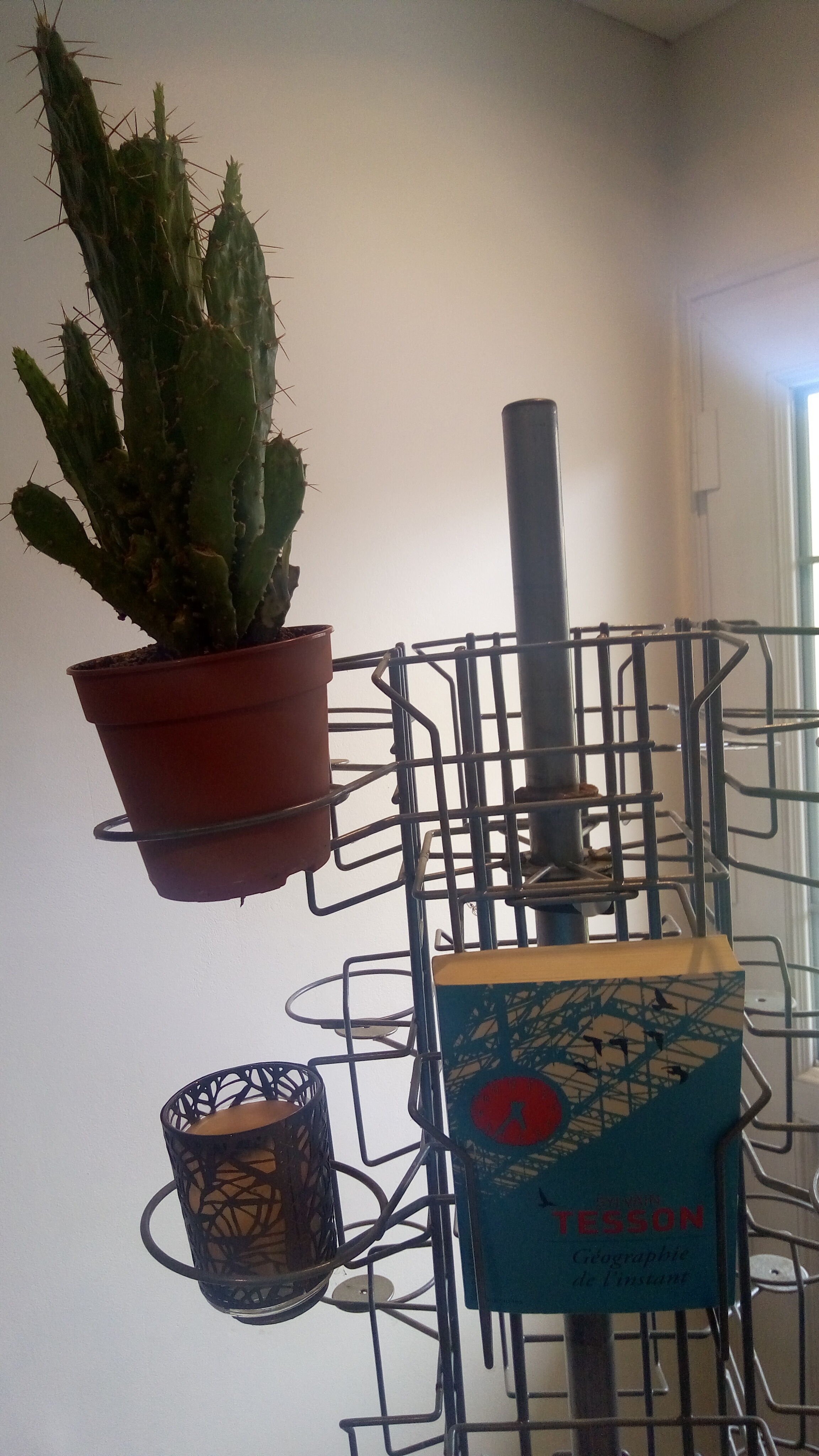 Atypical turnstile for postcards and books