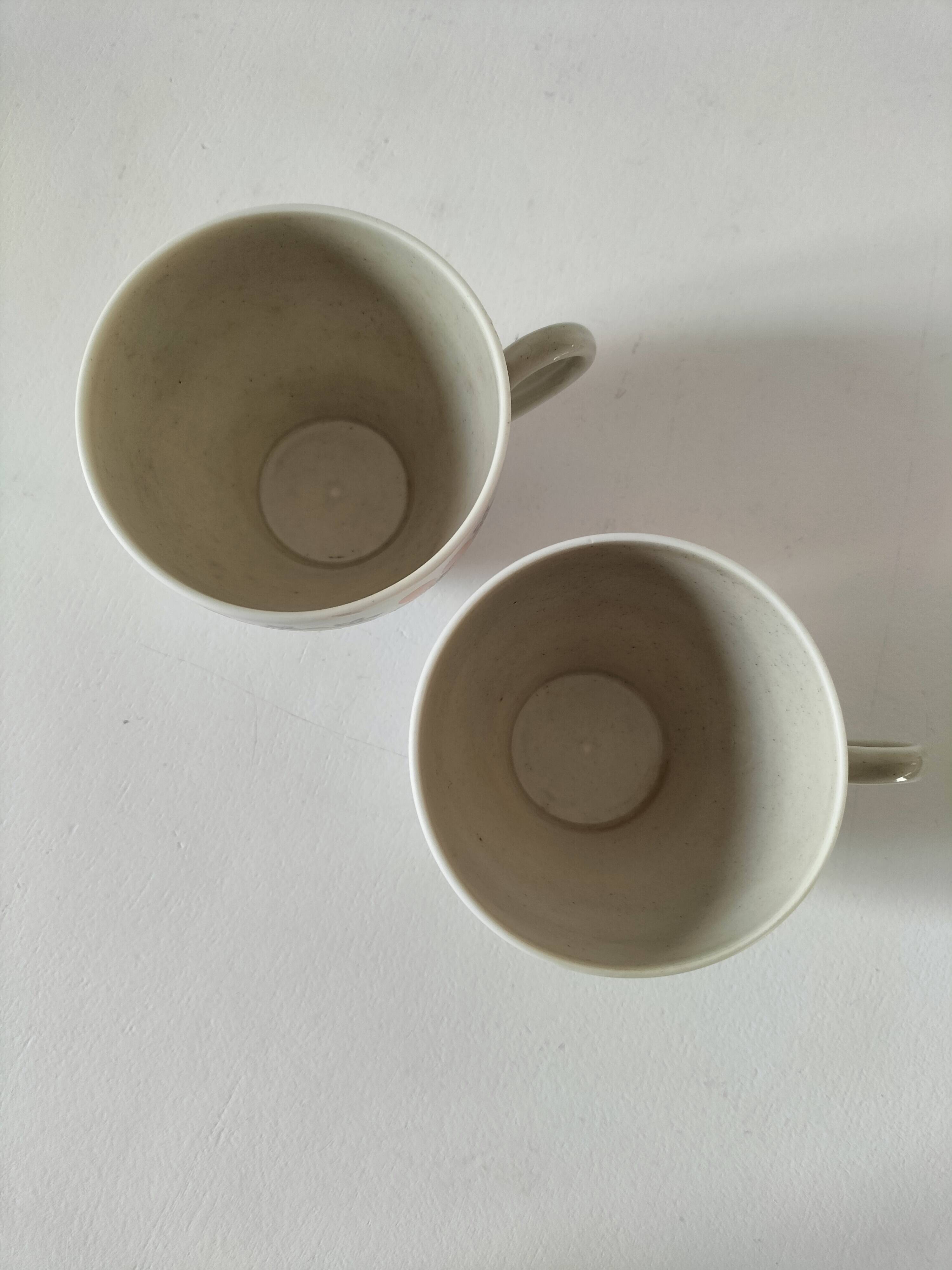 Vintage Winterling espresso cup duo, 70s floral design.