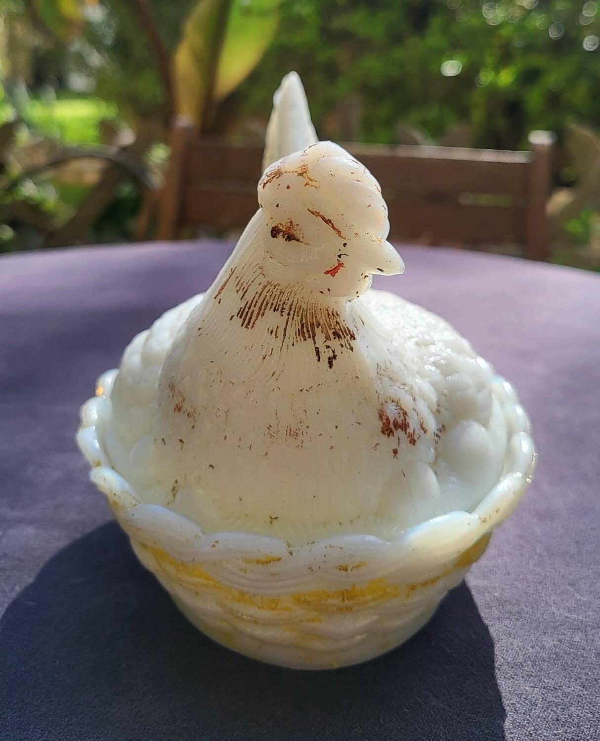 Vallerysthal Opaline Hen