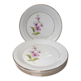 6 assiettes plates Gien Chevreuse