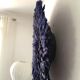 Juju hat bleu 75 cm