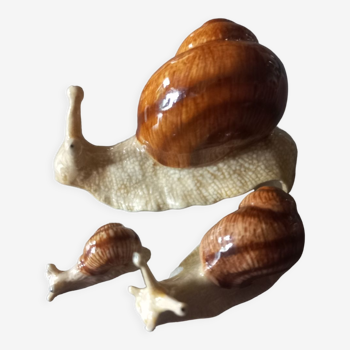 Family snails