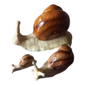 Famille escargots