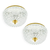 Paire de plafonniers/appliques murales Mid-Century en verre bulle par Helena Tynell pour Limburg, Allemagne