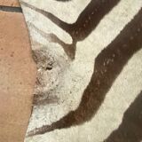 Real zebra skin