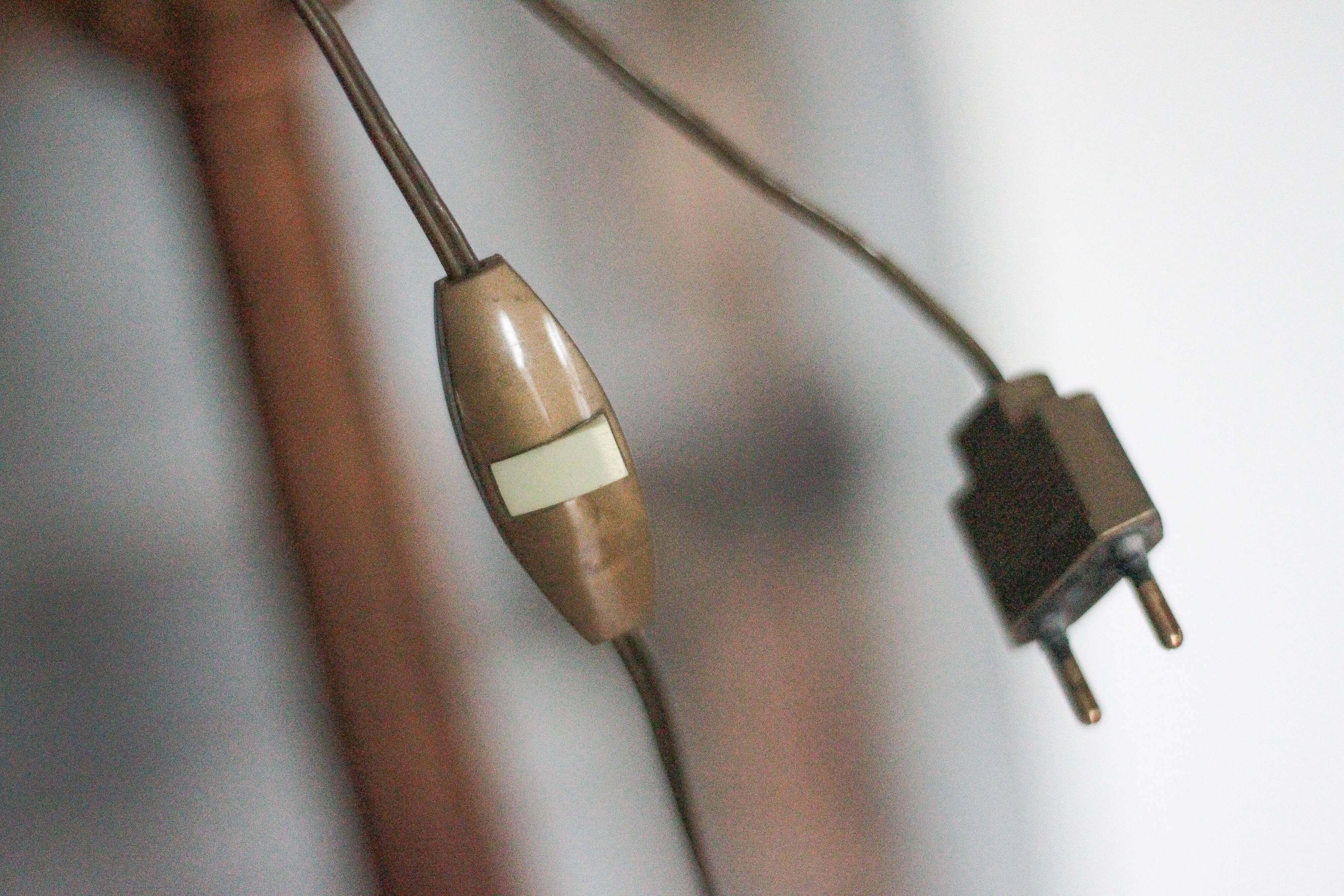 Florentine gilded wood floor lamp, floor lamp with lampshade