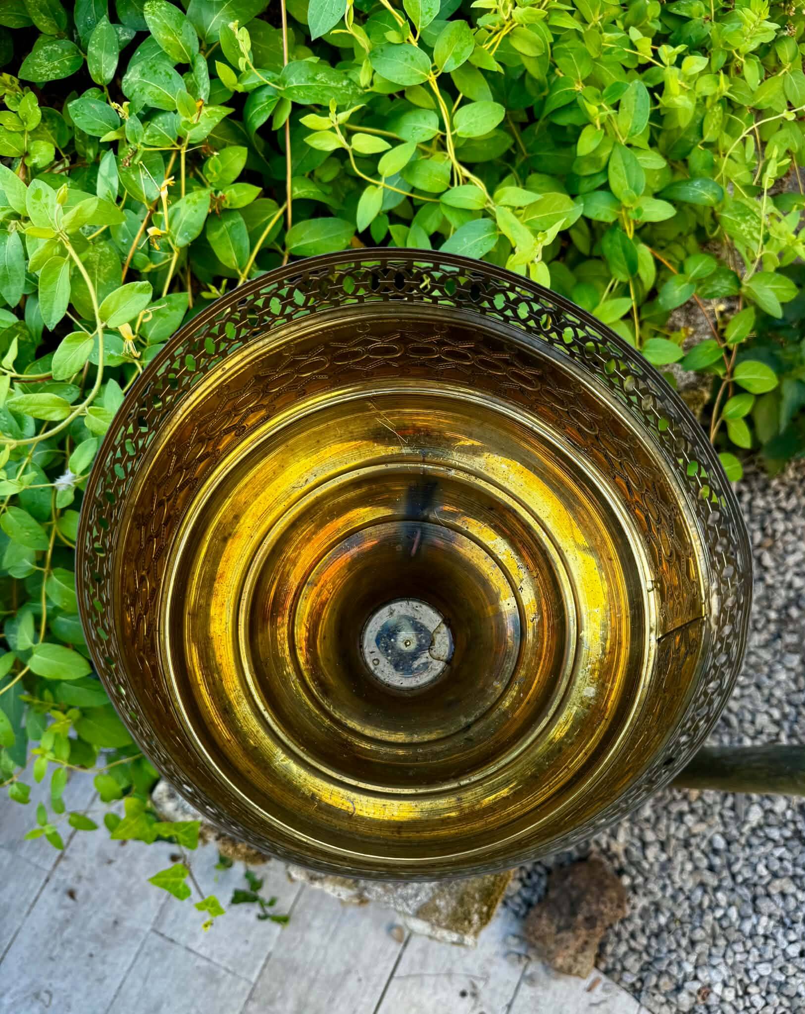 Large brass lion planter on a stand in Baroque Art Nouveau style.