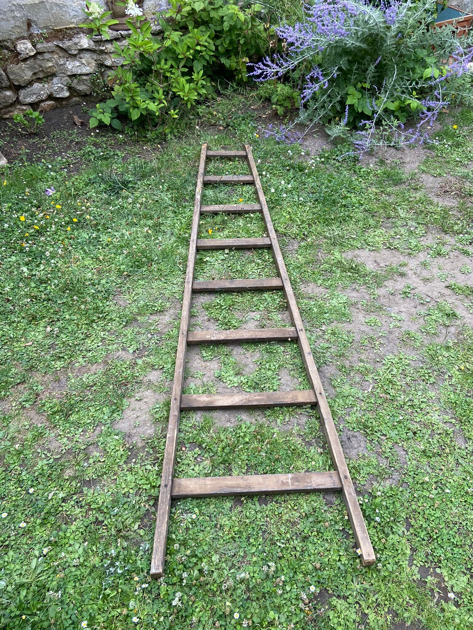 Old vintage painter's ladder
