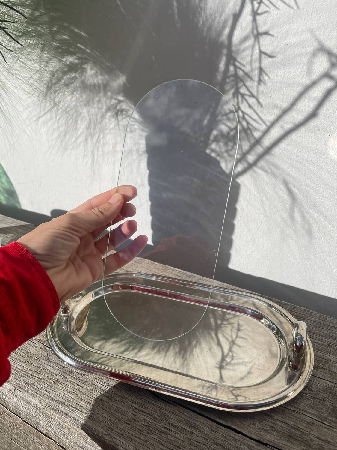Silver-plated duck foie gras dish