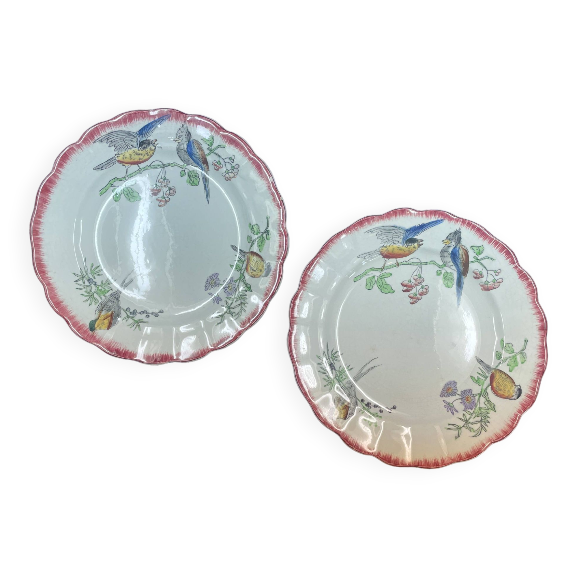 Pair of HB Cie Oiselets iron earth plates - Polychrome 24.5 cm